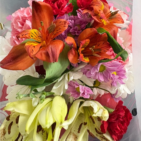 dairose7